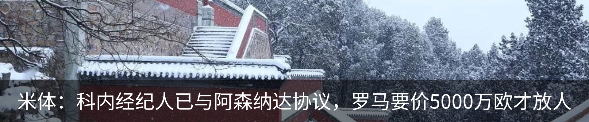 新闻动态