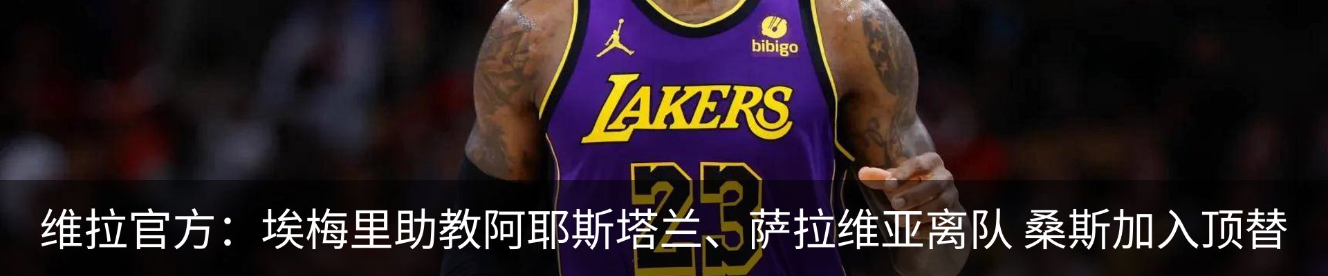 新闻动态