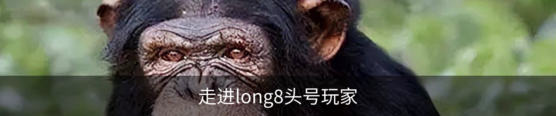 走进long8头号玩家