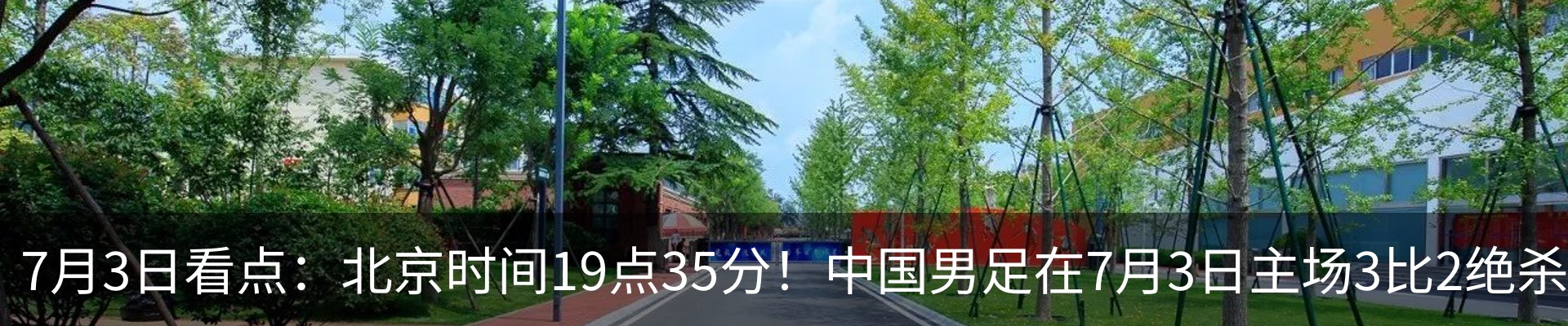 新闻动态