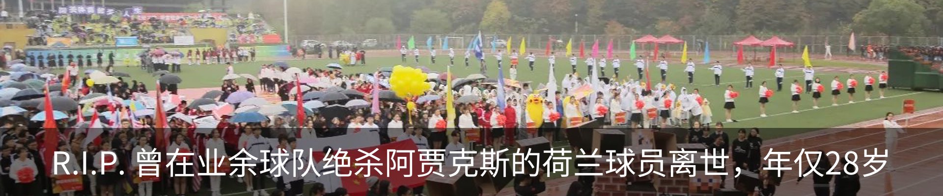 新闻动态