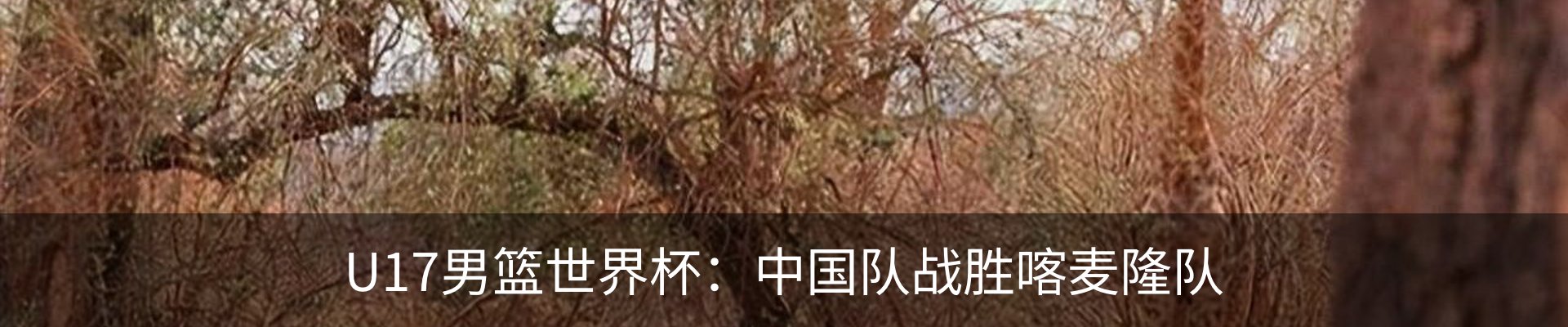 新闻动态